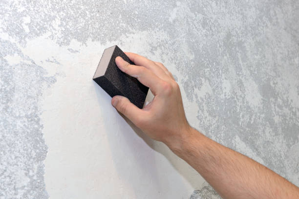 Best Environmental Consulting for Mold Prevention  in Isanti, MN