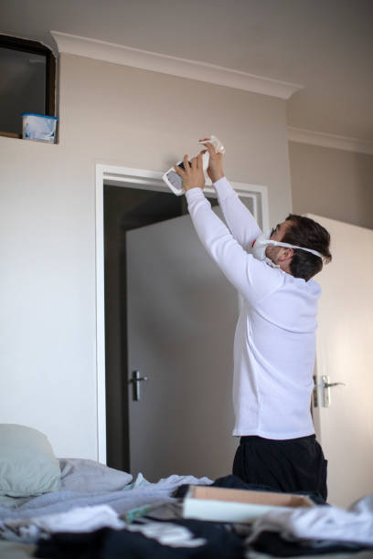 Best Emergency Mold Remediation  in Isanti, MN