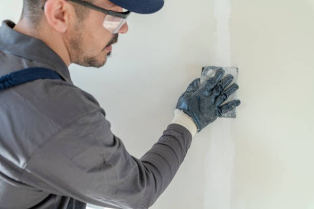 Best Post-Construction Mold Inspection  in Isanti, MN