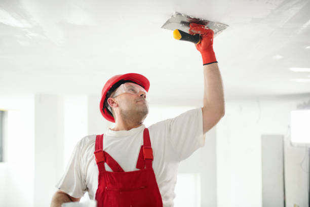 Best Mold Remediation for Healthcare Facilities  in Isanti, MN