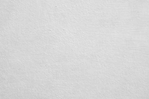 Best Mold Odor Removal Services  in Isanti, MN