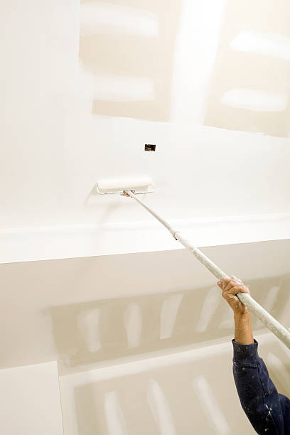 Best Comprehensive Air Testing for Mold Contaminants  in Isanti, MN