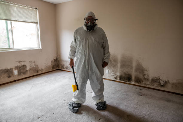 Biohazard Mold Removal in Isanti, MN