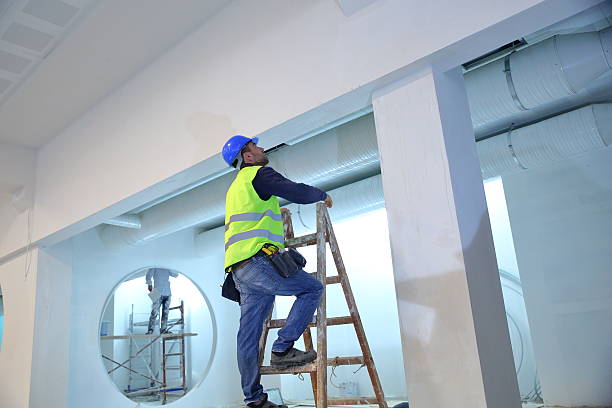 Best Dehumidification Services  in Isanti, MN